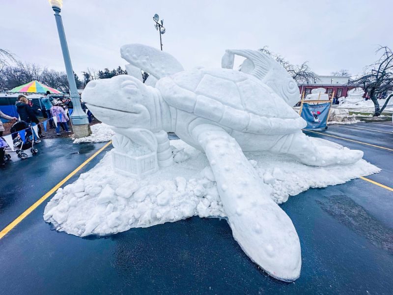 Zehnders Snowfest Website
