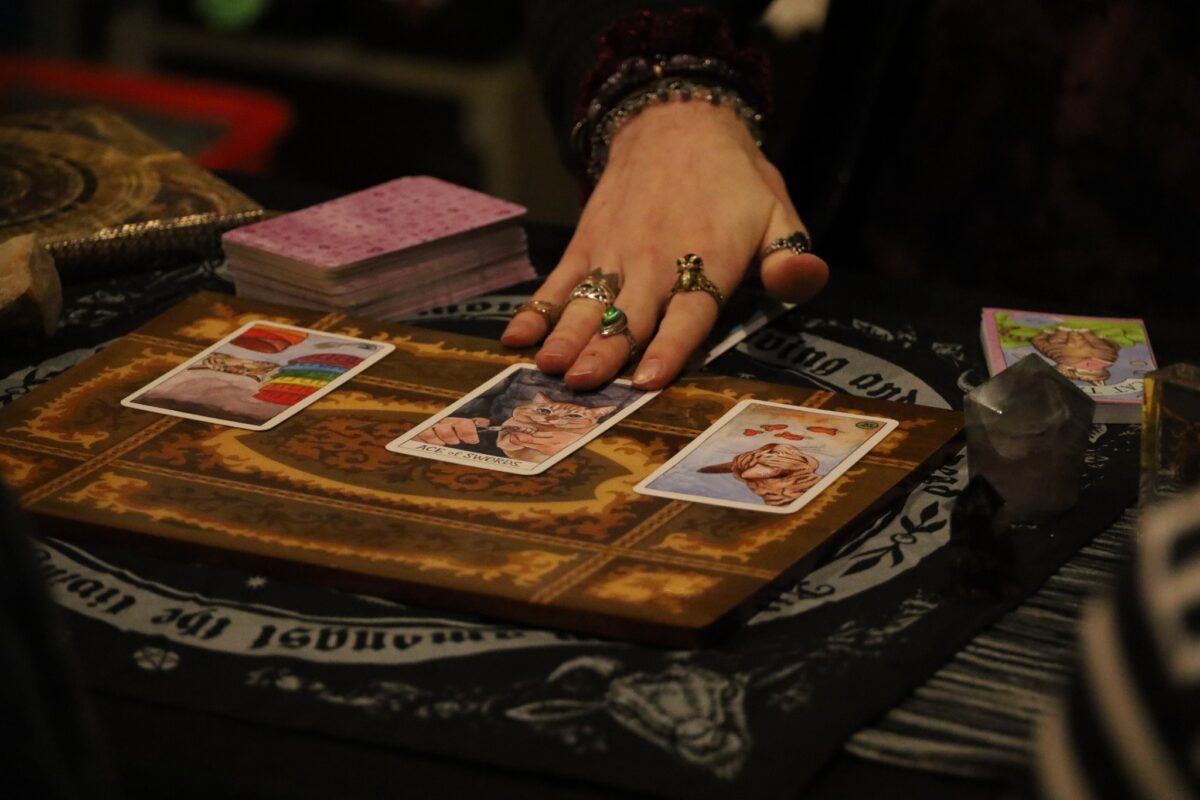 Cat Tarot Reading at Happy Cat Cafe