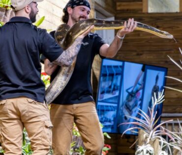 Creature Conservancy - Ann Arbor MI - snake - FB