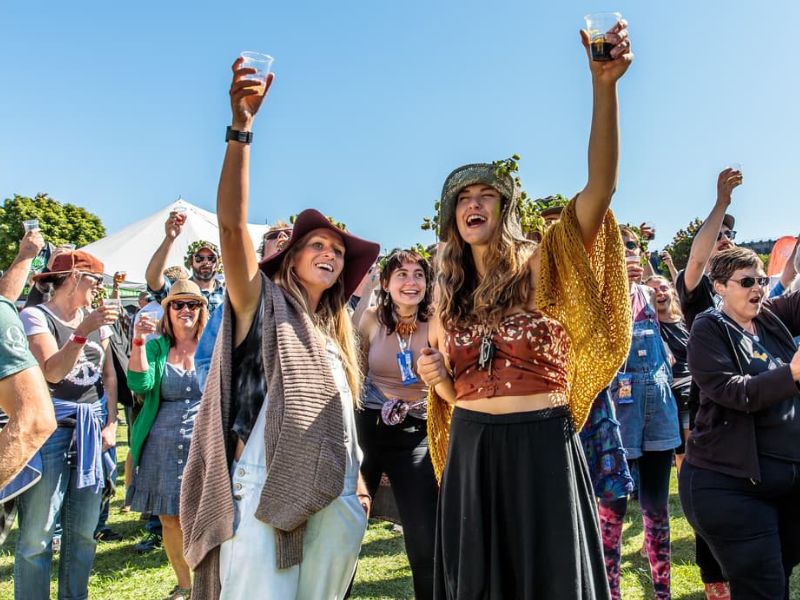 Michigan Brewers Guild Summer Beer Festival