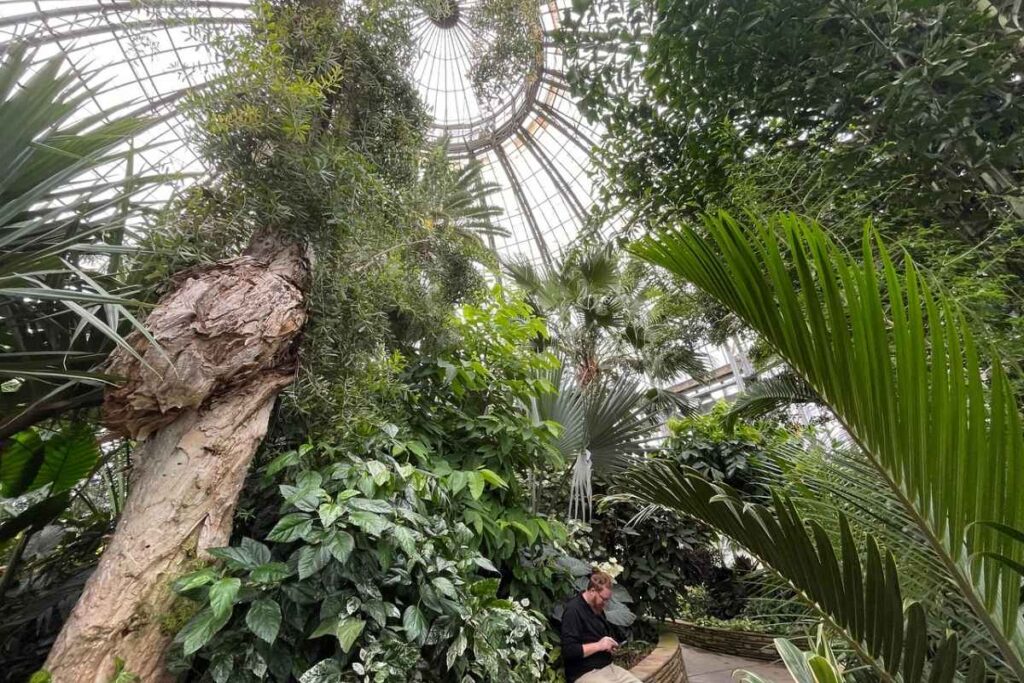 Belle Isle Conservatory, Belle Isle MI