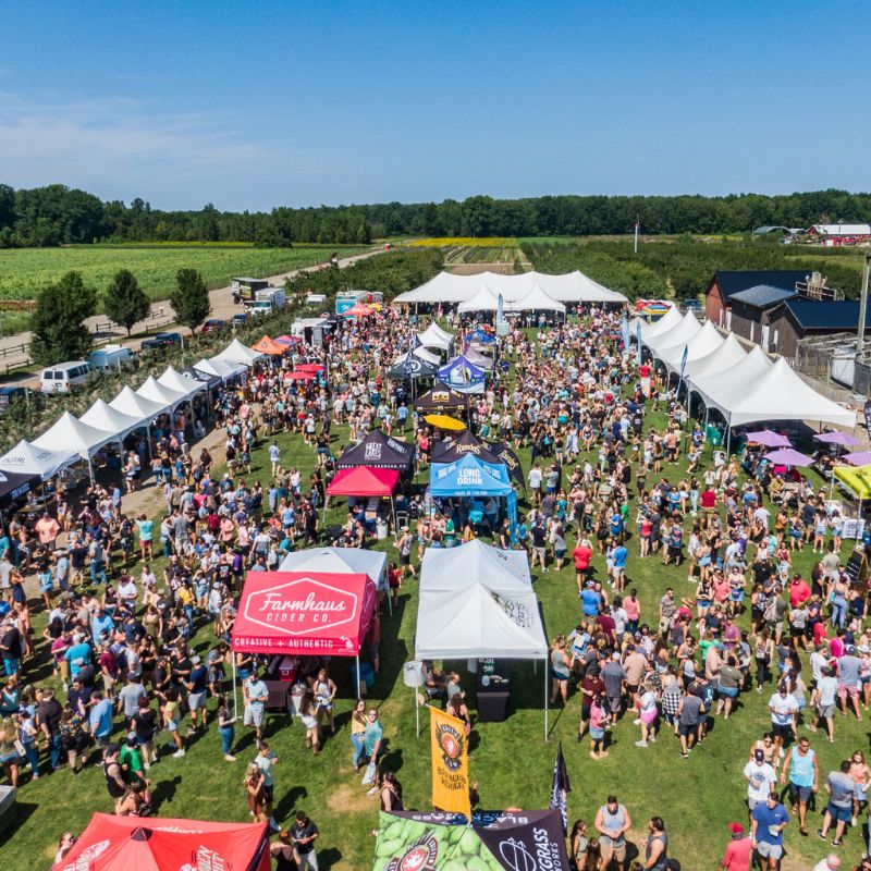 Blakes Sunflower Festival in Armada, MI