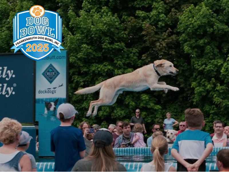 Frankenmuth Dog Bowl webpage