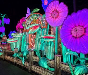 Lantern Festival 2026 fairy adventure after dark Veriezma