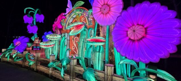 Lantern Festival 2026 fairy adventure after dark Veriezma