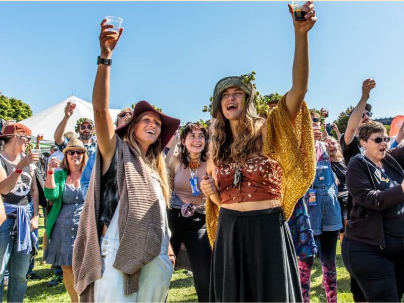 Michigan Brewers Guild Summer Festival webpage