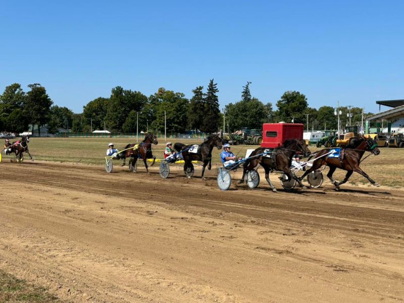St. Joseph County Grange Fair Facebook