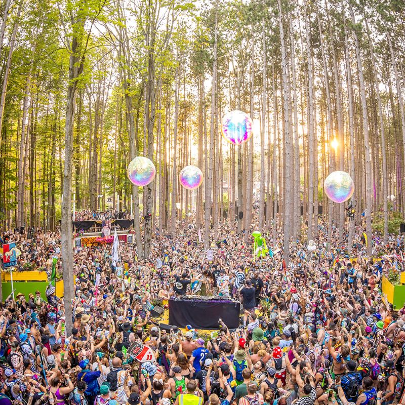 electric forest festival bubbles