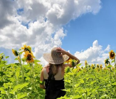 frankenmuthflowerfestivalwomaninsunflowers