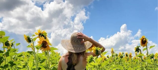 frankenmuthflowerfestivalwomaninsunflowers