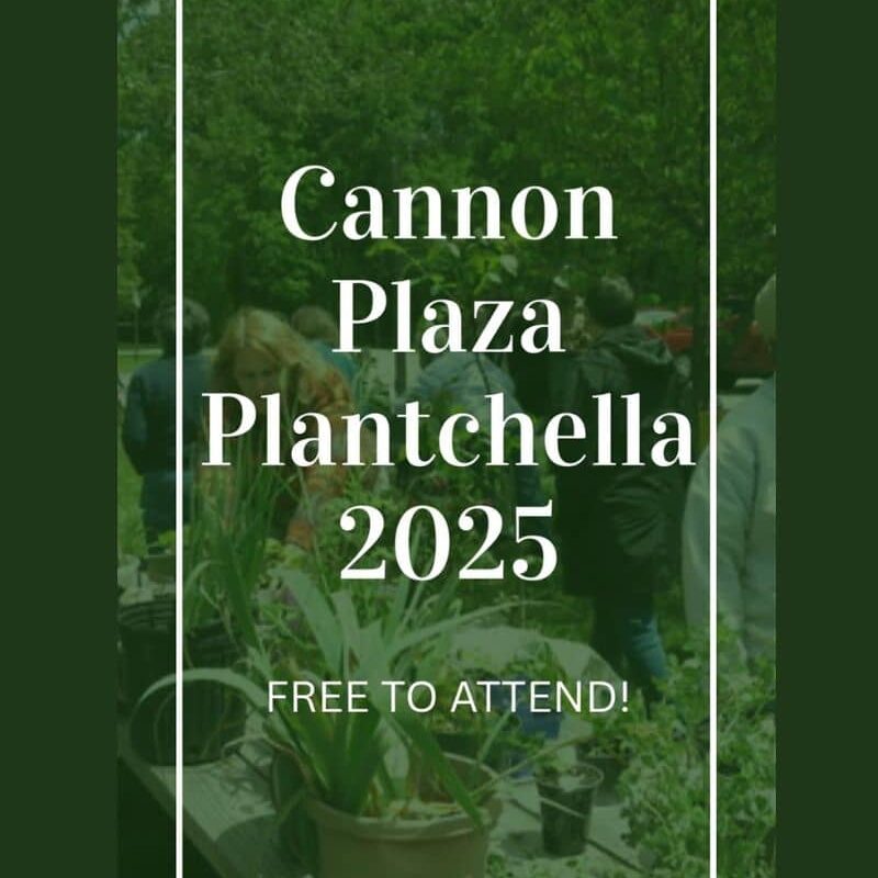 Cannon Plaza Plantchella 2025 Facebook