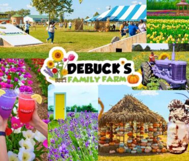 DeBuck's Family Farm Header