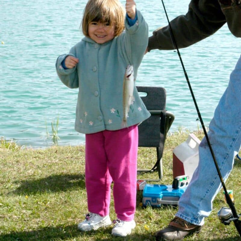 Freeland Walleye Festival website