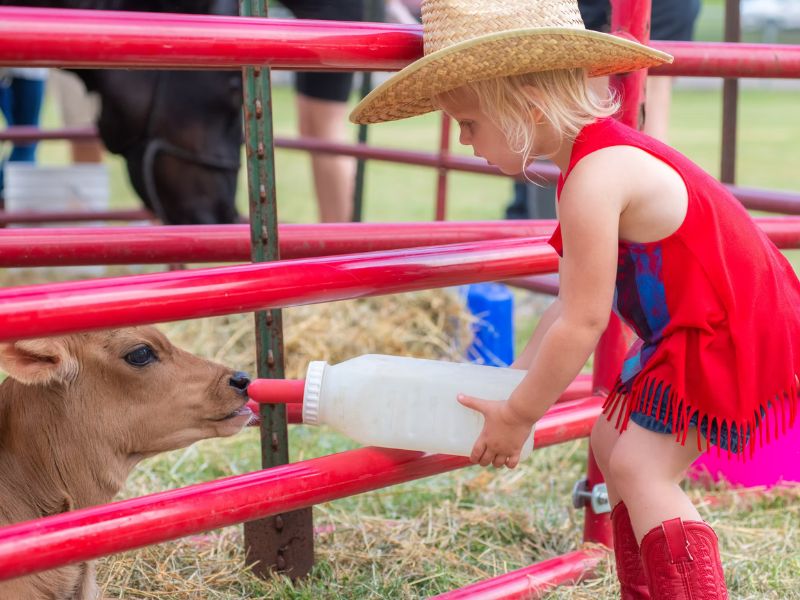 Sparta Town and Country Days Webpage