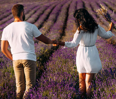 Romeo Lavender Farm Michigan