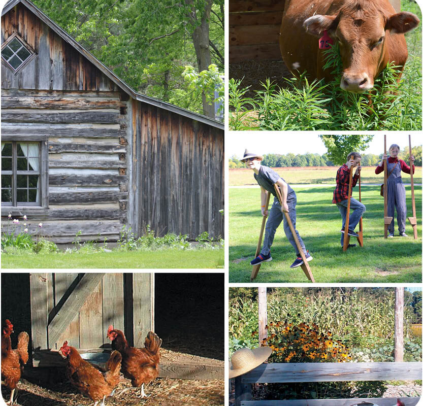 Chippewa Nature Center Homestead Sunday