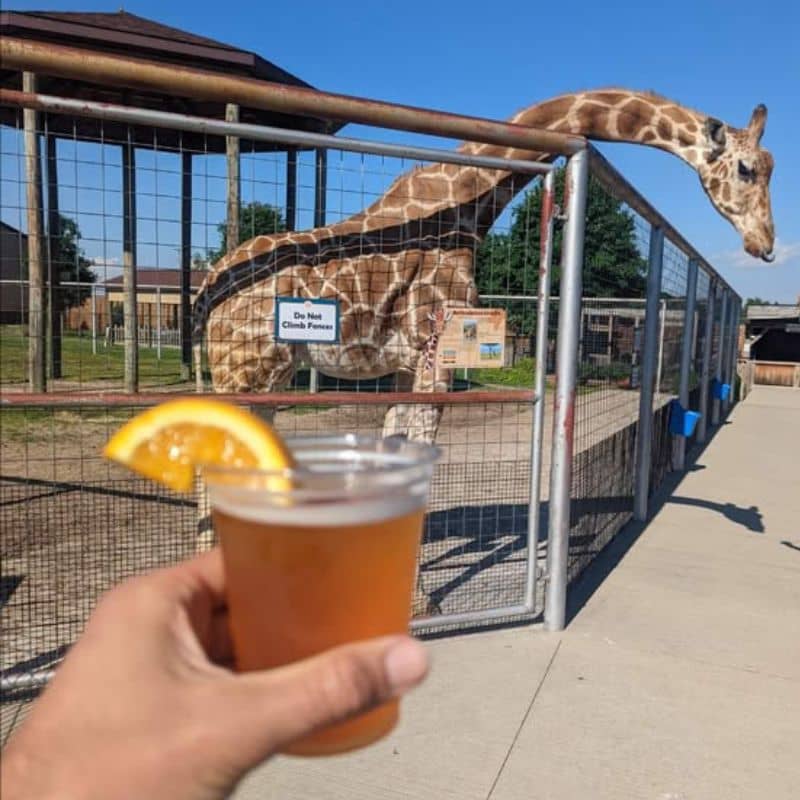 Boulder Ridge Wild Animal Park Eat, Drink & Conserve Facebook