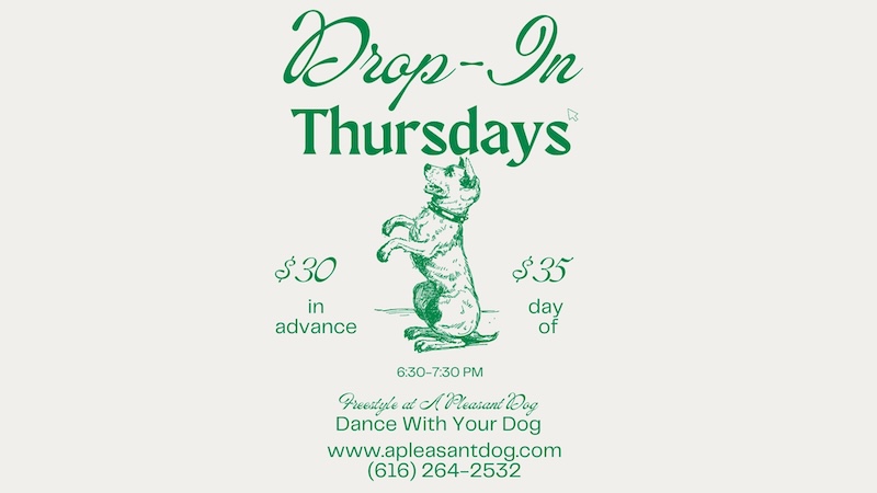 Drop-In Thursdays A Pleasant Dog Facebook