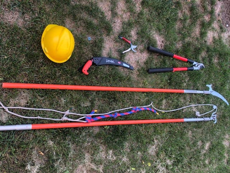 Friends of GR Parks Tree Maintenance Facebook