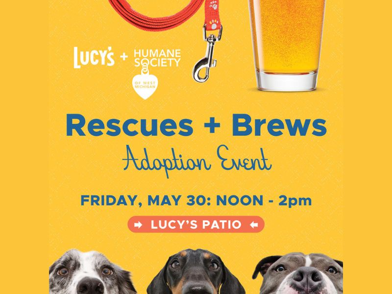 Lucy's + Humane Society's Rescue & Brews Facebook
