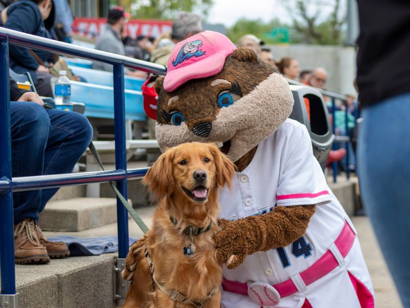 West Michigan Whitecaps Dog Days Photo Submission