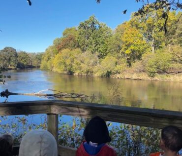 bald eagle over river chippewa Nature center- FB