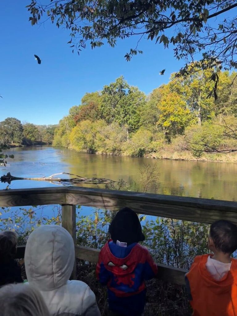 bald eagle over river chippewa Nature center- FB