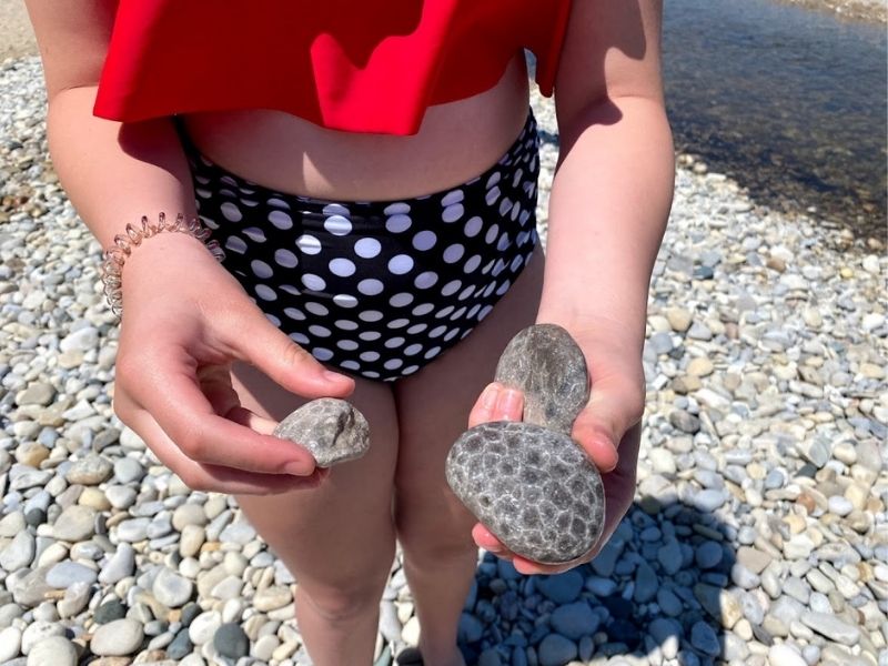 searching-for-Petoskey-stones
