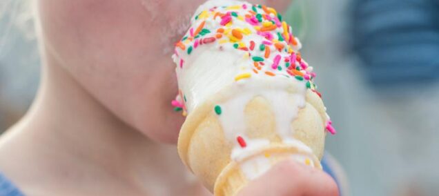 traverse-city-restaurants-bardons-wonder-freeze-ice-cream-cone