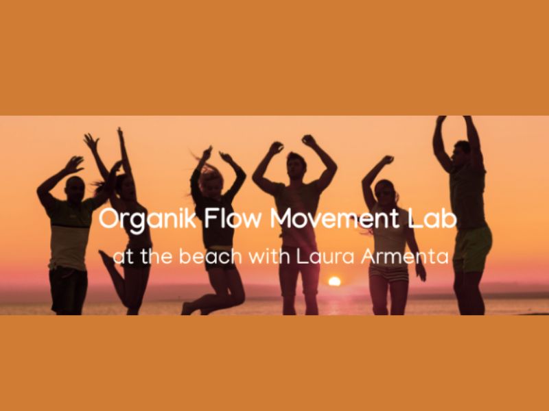 Armentality Movement Organik Flow Movement Lab webpage