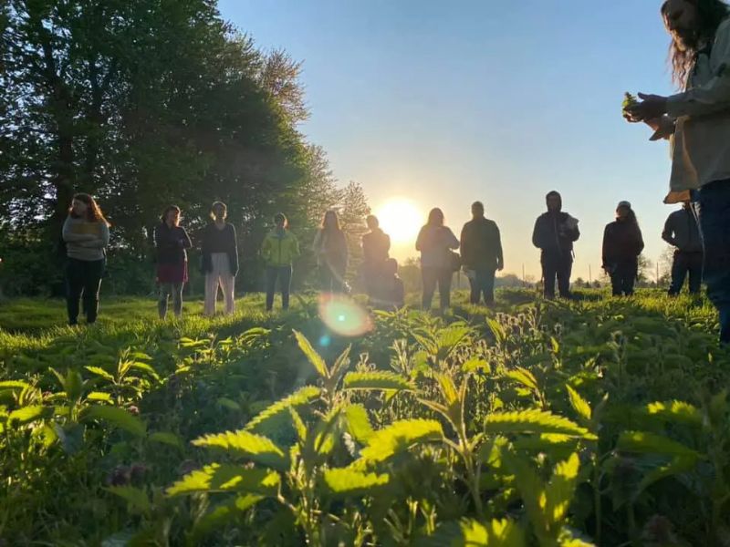 Blandford Nature Center's Midsummer Medicine Herb Walk webpage