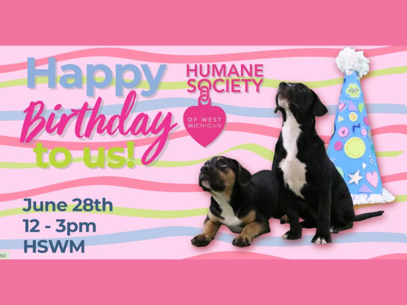 Humane Society of WMI Birthday Party Submission