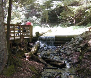 Iargo Springs Waterfall FHWA.dot.gov