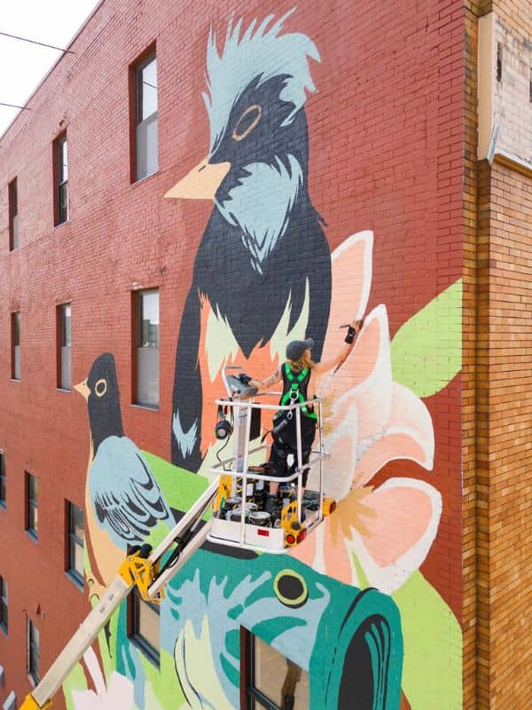 Pleasant Peninsula Art Meets Activism Webpage