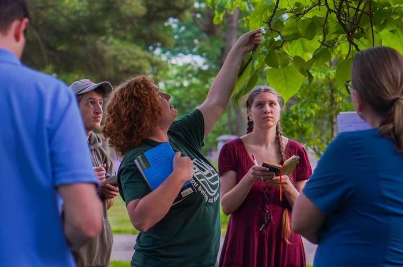 Tree ID Walk Facebook
