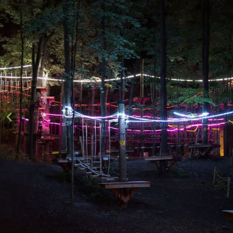 TreeRunners GR Glow NIght webpage