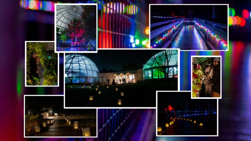 Under the Silver Moon Hidden Lake Gardens Webpage