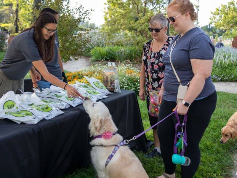 Downtown Holland's Windmill Island Garden's Bark In The Park webpage