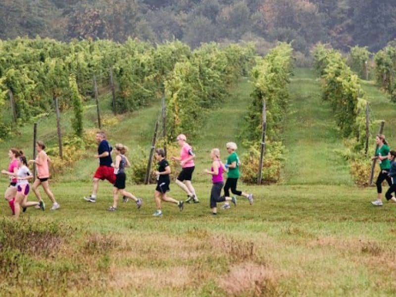Fenn Valley Vineyard 5K website (1)