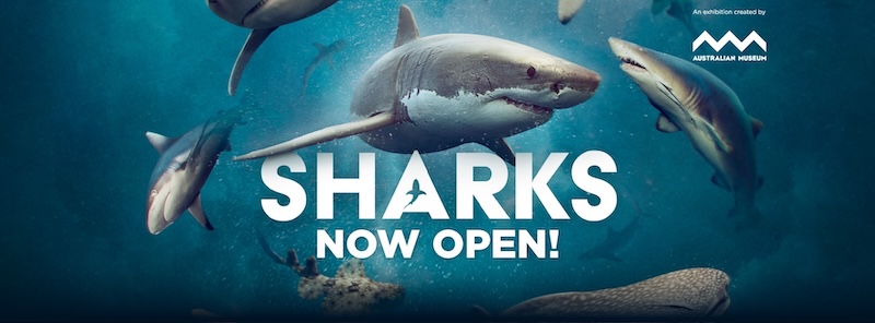 GRPM Sharks Facebook