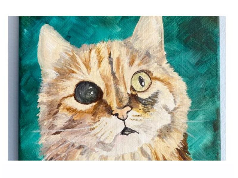 Paint Your Pet Three Blue Brushes Facebook