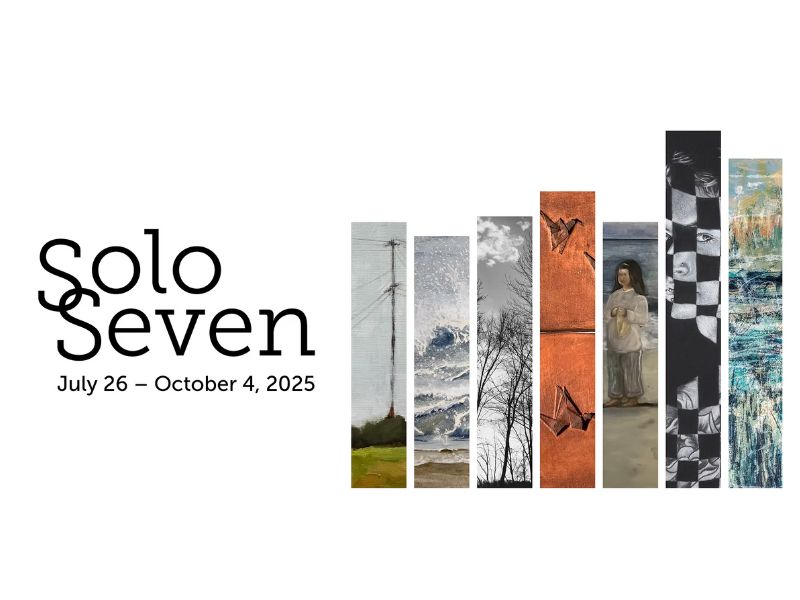 Solo Seven Lowell Arts Webpage