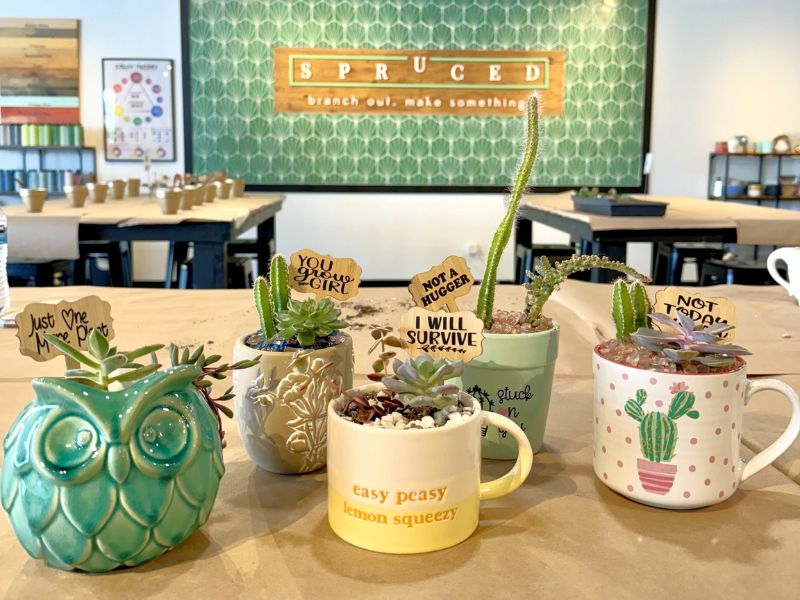 Spruced Studio Sips & Succulents webpage