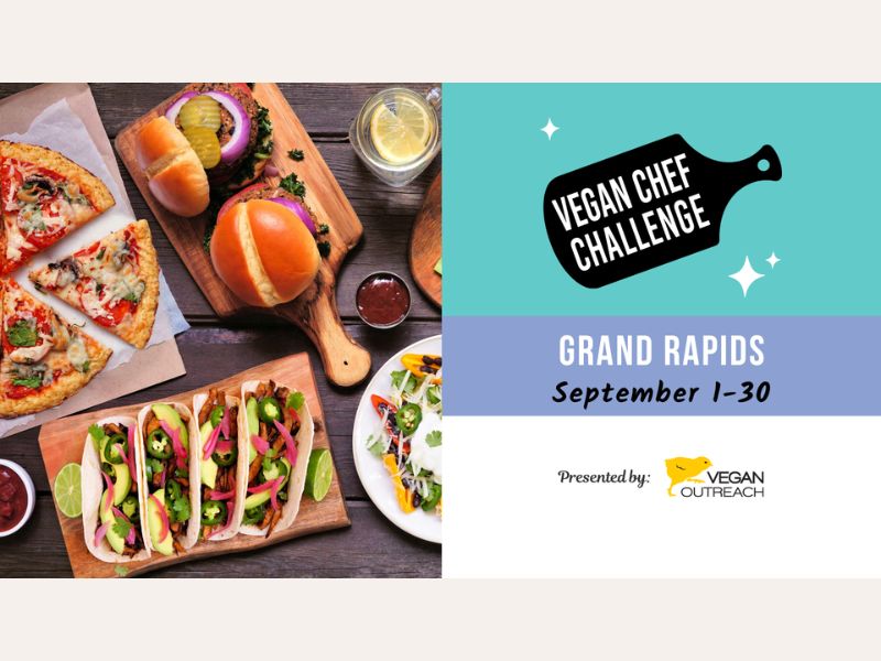 Submission Vegan Chef Challenge