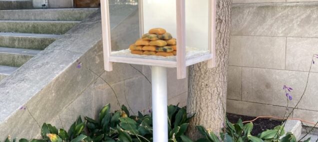 Avenue for the Arts Artposts - 24 Fountain St NE