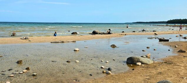 Besser Natural Area, Alpena, MI