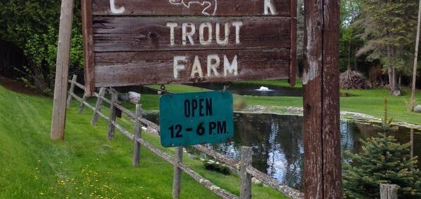 Cedarbrook Trout Farm in Harrisville, MI