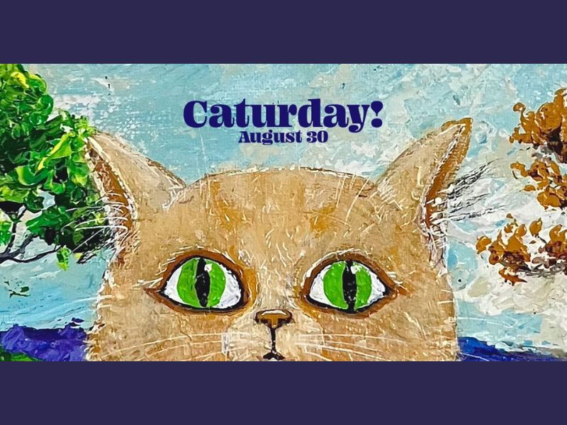 Cocoon Art Space Caturday! Facebook