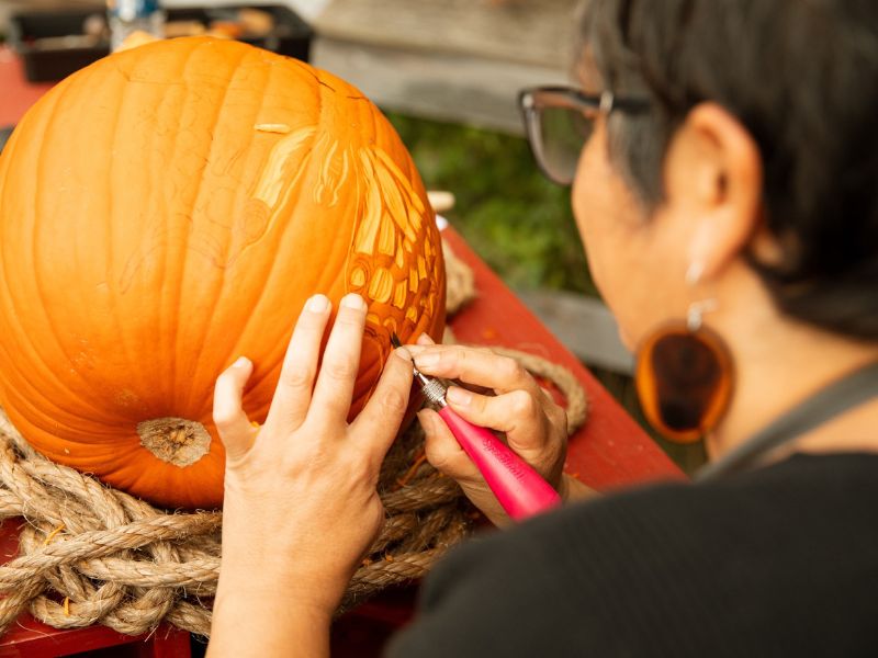 FMG Autumn Nights webpage