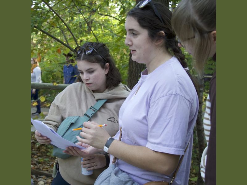 JBZ Locked Zoo webpage